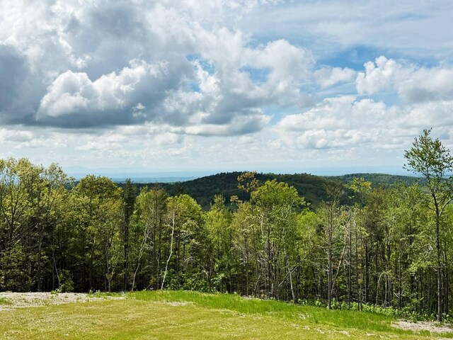 25 Ridge Rd, East Chatham, NY 12060