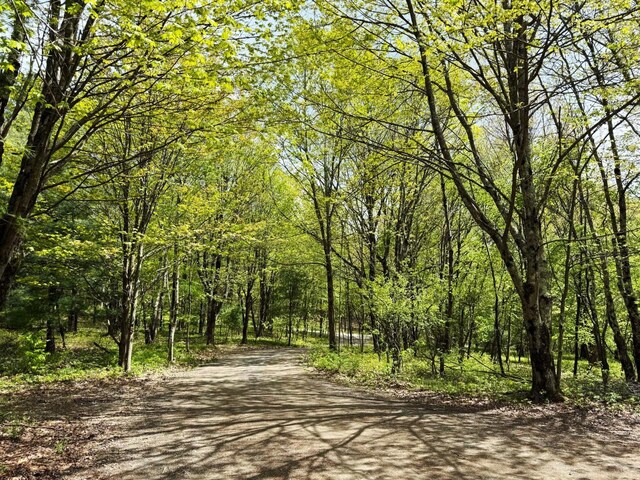 25 Ridge Rd, East Chatham, NY 12060