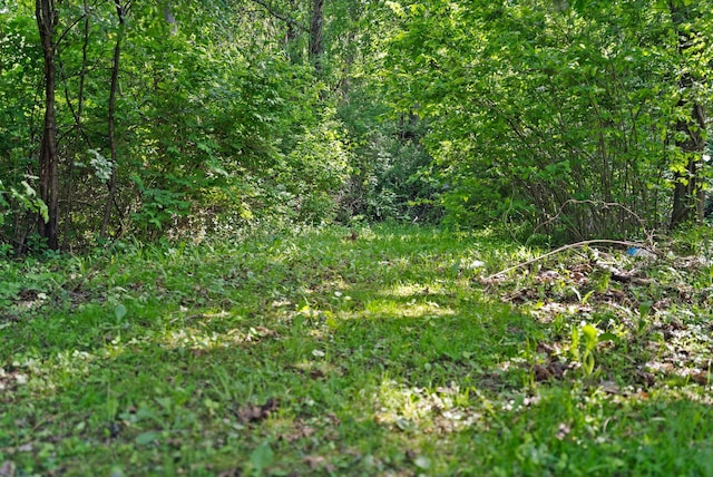 30 Airport Rd, Warwick, NY 10990 - view of tree filled area