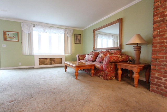 73-20 52nd Rd, Maspeth, NY 11378 - living area with carpet floors, ornamental molding, and baseboards
