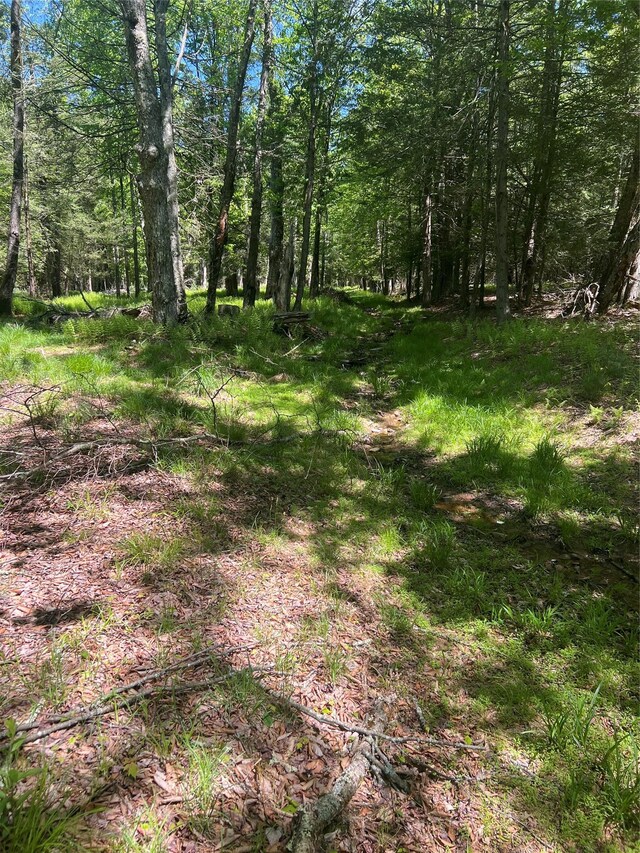 95 Old Tacy Rd, Swan Lake, NY 12783