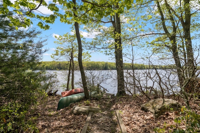 23 Canal Rd, Wurtsboro, NY 12790 - photo 17