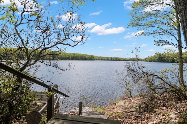 23 Canal Rd, Wurtsboro, NY 12790 - photo 18