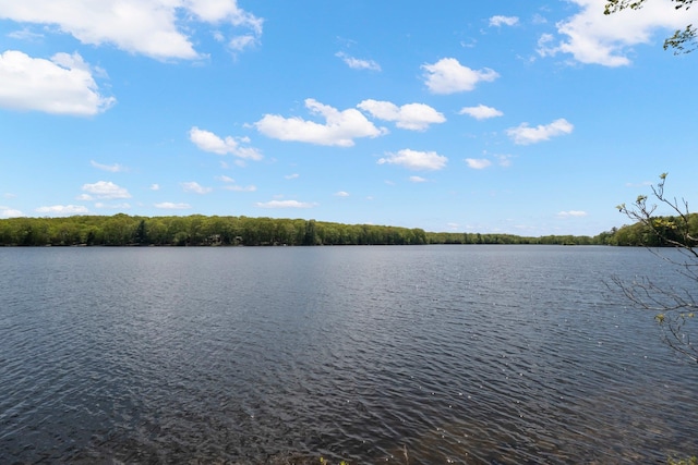 23 Canal Rd, Wurtsboro, NY 12790 - photo 19
