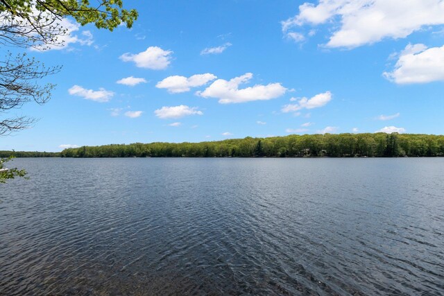 23 Canal Rd, Wurtsboro, NY 12790 - photo 21