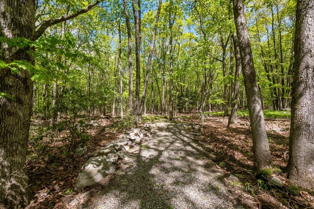 23 Canal Rd, Wurtsboro, NY 12790 - photo 27