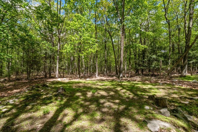 23 Canal Rd, Wurtsboro, NY 12790 - photo 28