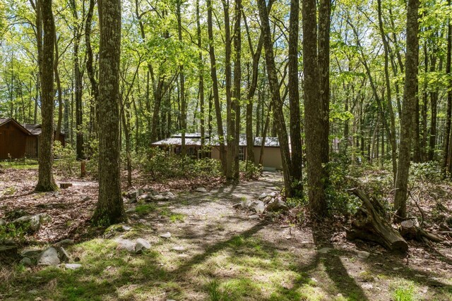 23 Canal Rd, Wurtsboro, NY 12790 - photo 30