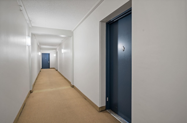 102 Bradhurst Ave Unit 906, New York Manhattan, NY 10039 - hallway with light carpet and baseboards