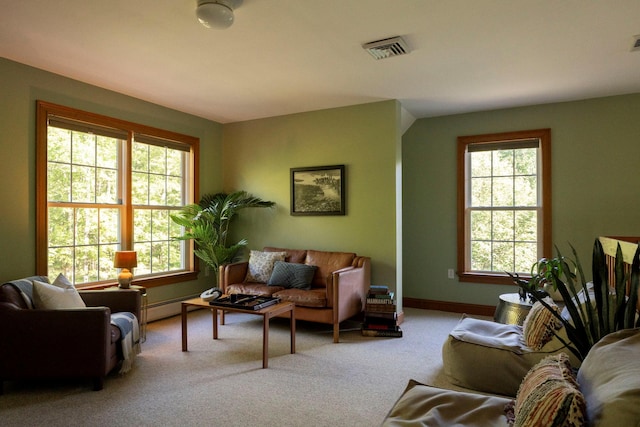 1401 State Route 28a, Hurley, NY 12491 - living room with a baseboard heating unit, carpet, and baseboards