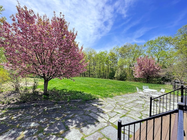 1401 State Route 28a, Hurley, NY 12491 - view of green lawn featuring a patio area