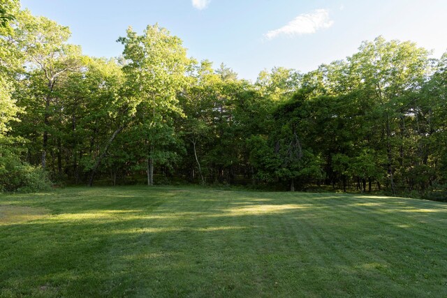 1401 State Route 28a, Hurley, NY 12491 - view of grassy yard featuring a forest view