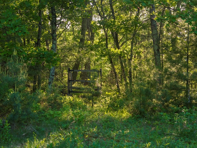 1401 State Route 28a, Hurley, NY 12491 - view of tree filled area