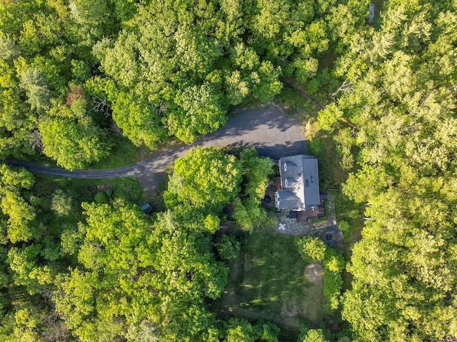 1401 State Route 28a, Hurley, NY 12491 - aerial view of property's location