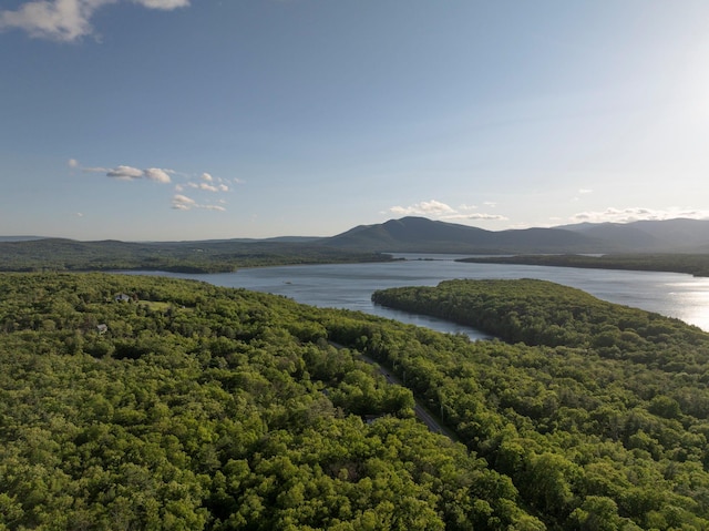 1401 State Route 28a, Hurley, NY 12491 - water view with a mountainous background and a heavily wooded area