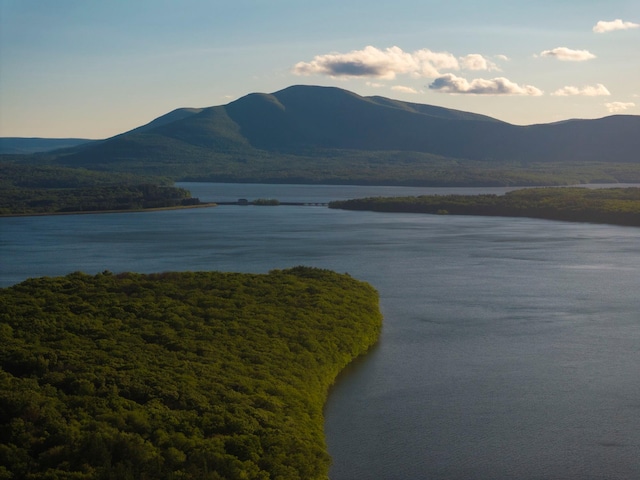 1401 State Route 28a, Hurley, NY 12491 - water view with a mountainous background