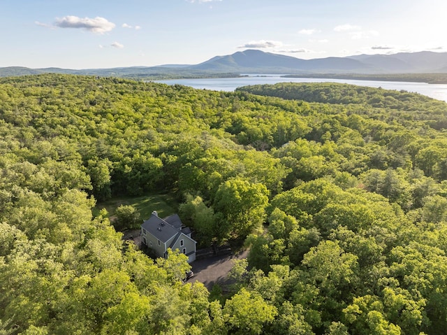 1401 State Route 28a, Hurley, NY 12491 - aerial view of a heavily wooded area and a water and mountain view