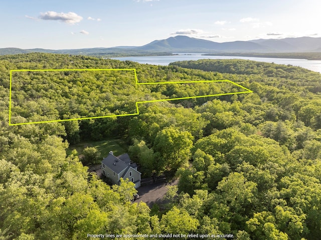 1401 State Route 28a, Hurley, NY 12491 - view of property location featuring a forest, a water and mountain view, and property parcel outlined