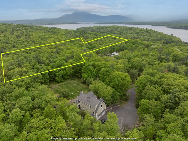1401 State Route 28a, Hurley, NY 12491 - aerial view of property and surrounding area with a water and mountain view, a heavily wooded area, and property parcel outlined
