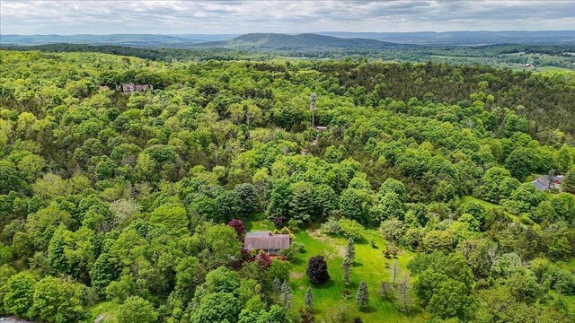 665 State Route 94 N, Warwick, NY 10990 - aerial view of a forest