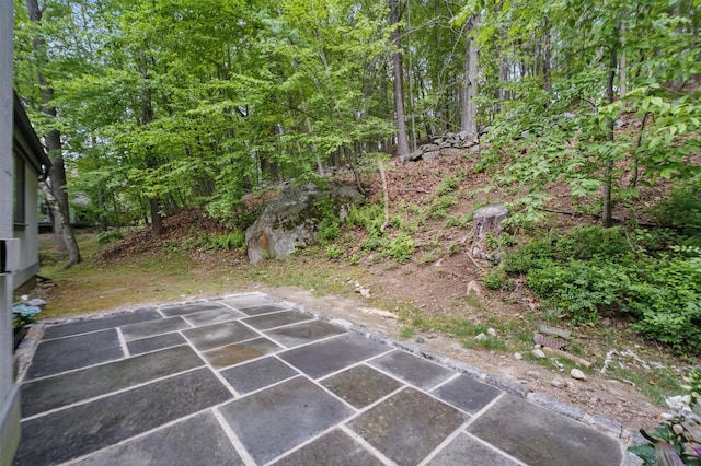 348 Heritage Hls Unit A, Somers, NY 10589 - view of yard featuring a patio area