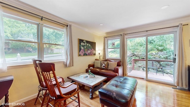 50 Snowden Ave, Ossining, NY 10562 - living area featuring ornamental molding, wood finished floors, and baseboards