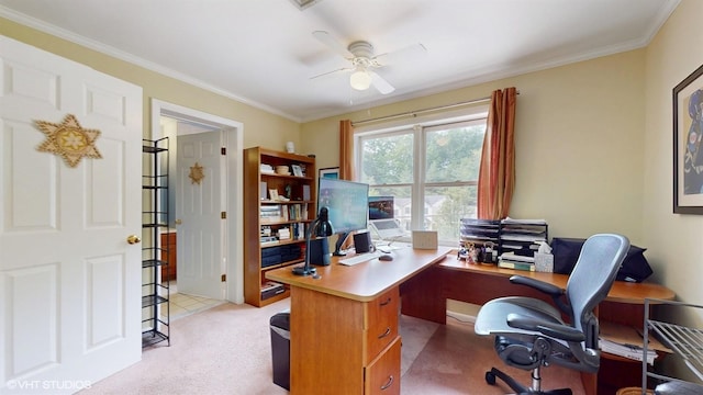50 Snowden Ave, Ossining, NY 10562 - home office with ceiling fan, crown molding, and light colored carpet
