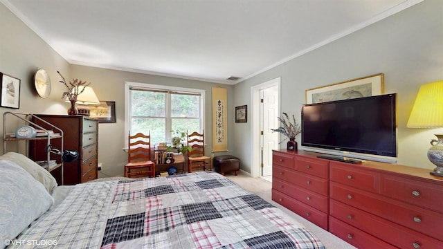 50 Snowden Ave, Ossining, NY 10562 - bedroom with crown molding and carpet floors