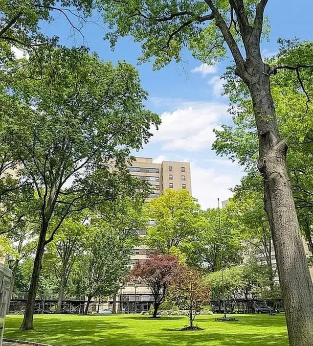 3 Fordham Hill Oval Unit 3D, Bronx, NY 10468 - surrounding community with a yard