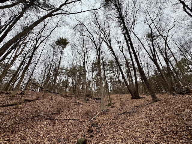  - photo 5