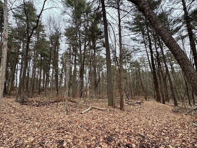  - photo 21