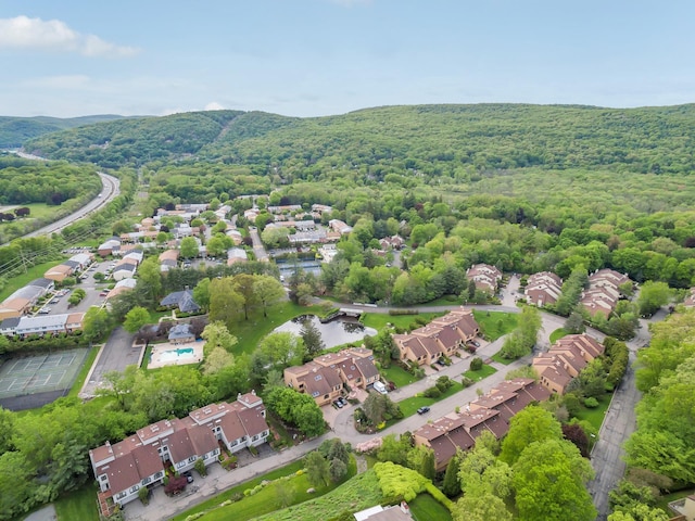 6 Chippewa Ct, Suffern, NY 10901 - aerial view of residential area with a forest and a nearby body of water