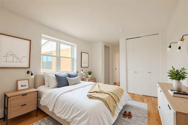 8 Florence Ave Unit 16C, Freeport, NY 11520 - bedroom featuring light wood-type flooring and a closet