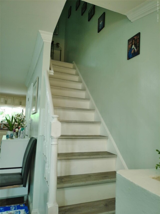 277 Graff Ave, Bronx, NY 10465 - photo 27