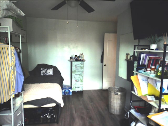 277 Graff Ave, Bronx, NY 10465 - photo 14