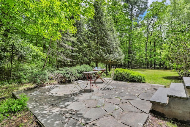512 Watson Woods Rd, Woodstock, NY 12498 - view of patio with a wooded view