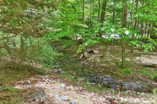512 Watson Woods Rd, Woodstock, NY 12498 - view of nature