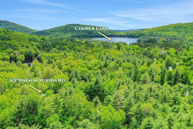 512 Watson Woods Rd, Woodstock, NY 12498 - mountain view featuring a forest and a large body of water
