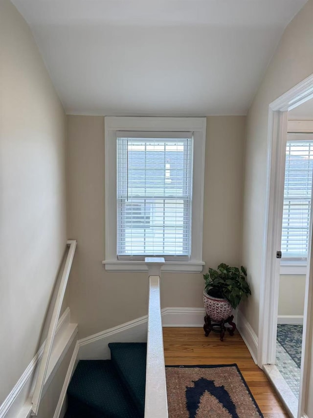 42-60 248th St, Little Neck, NY 11363 - photo 20