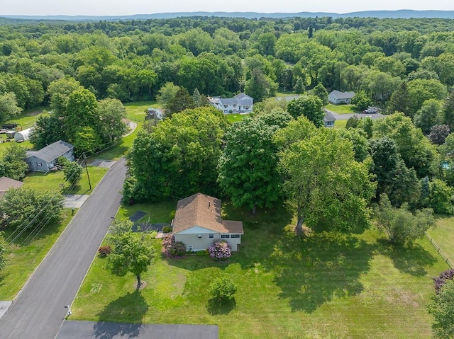 6 Regency Dr, Wappingers Falls, NY 12590 - aerial view of a heavily wooded area
