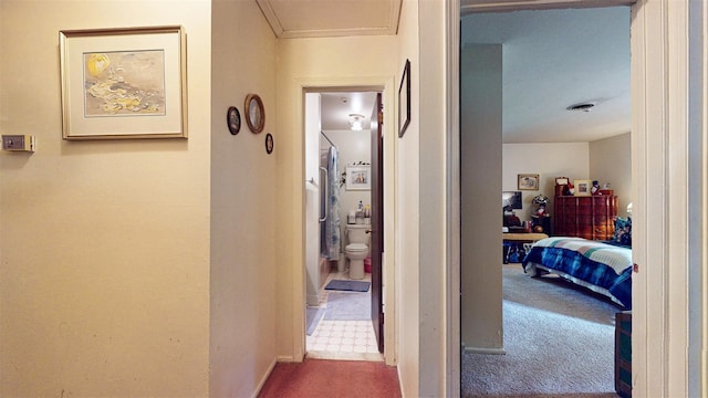 4 Christine Dr, Spring Valley, NY 10977 - hallway featuring carpet floors and baseboards