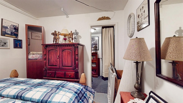 4 Christine Dr, Spring Valley, NY 10977 - view of carpeted bedroom