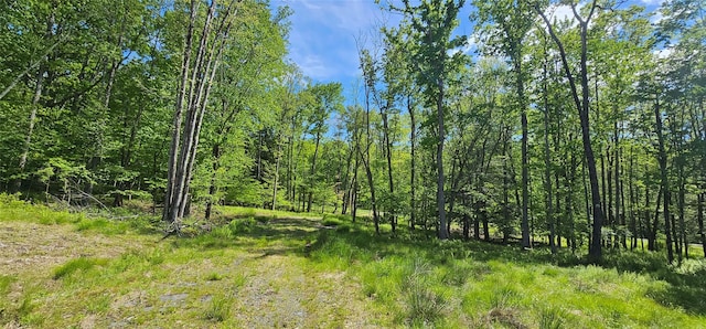 LOT61 Cushetunk Dr, Cochecton, NY 12726