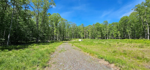 LOT61 Cushetunk Dr, Cochecton, NY 12726