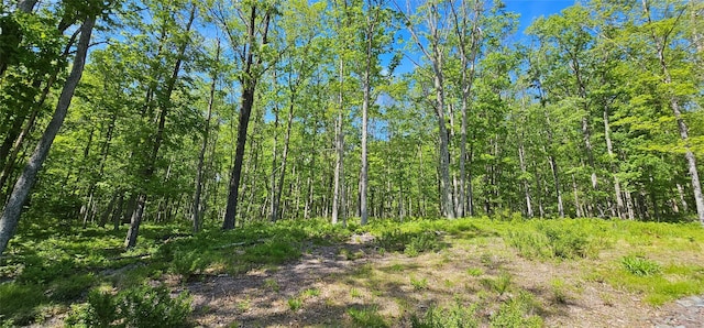 LOT61 Cushetunk Dr, Cochecton, NY 12726