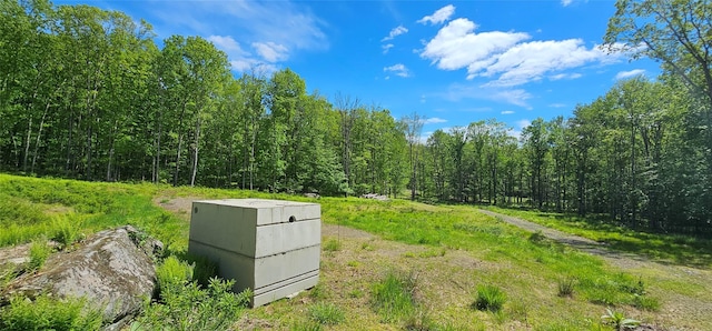 LOT61 Cushetunk Dr, Cochecton, NY 12726
