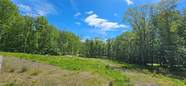 LOT61 Cushetunk Dr, Cochecton, NY 12726