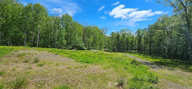 LOT61 Cushetunk Dr, Cochecton, NY 12726