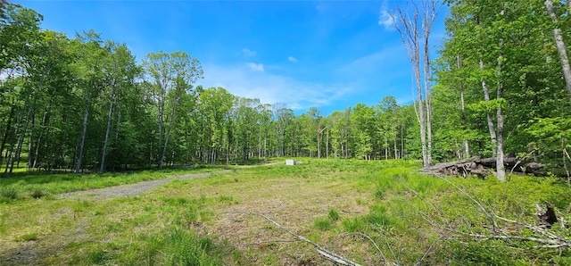 LOT61 Cushetunk Dr, Cochecton, NY 12726