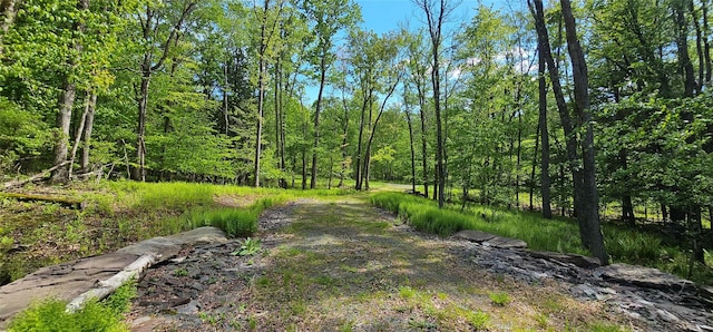 LOT61 Cushetunk Dr, Cochecton, NY 12726